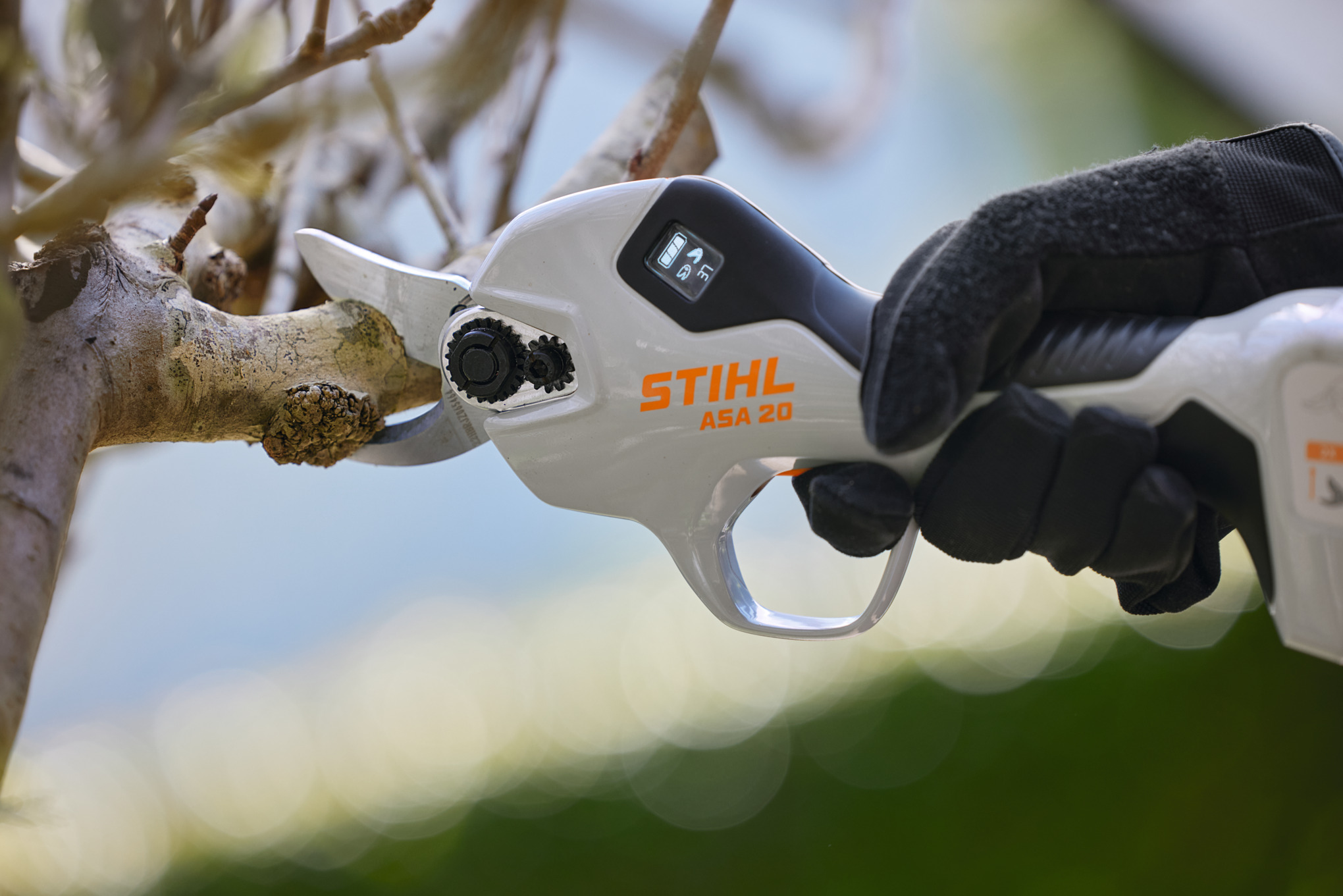 Lot De 4 Sécateurs De Jardin En Acier Inoxydable - Pour Roses, Haies, Branches, Bonsaï - Poignées Ergonomiques, Verrouillage Sécurité - Idéal Jardiniers Débutants Et Pro